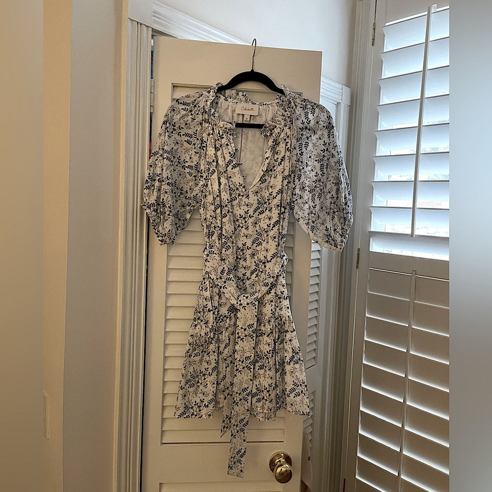 Cleobella Nevah Mini Dress, Killarney Print